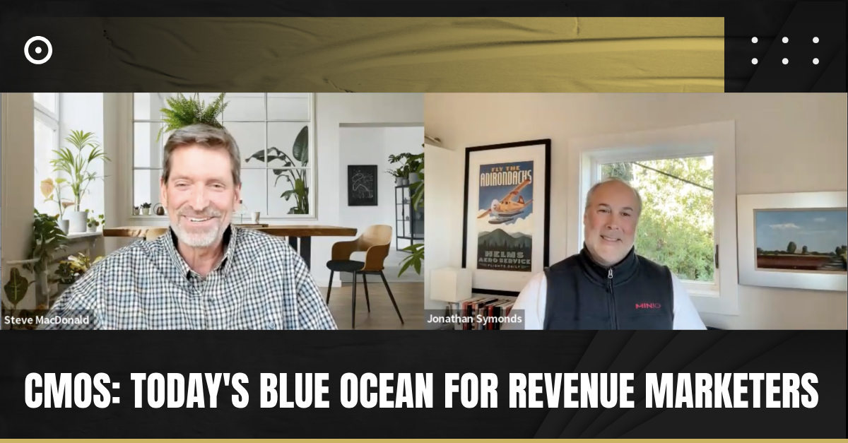 Read more about the article CMOs: Today’s Blue Ocean for Revenue Marketers