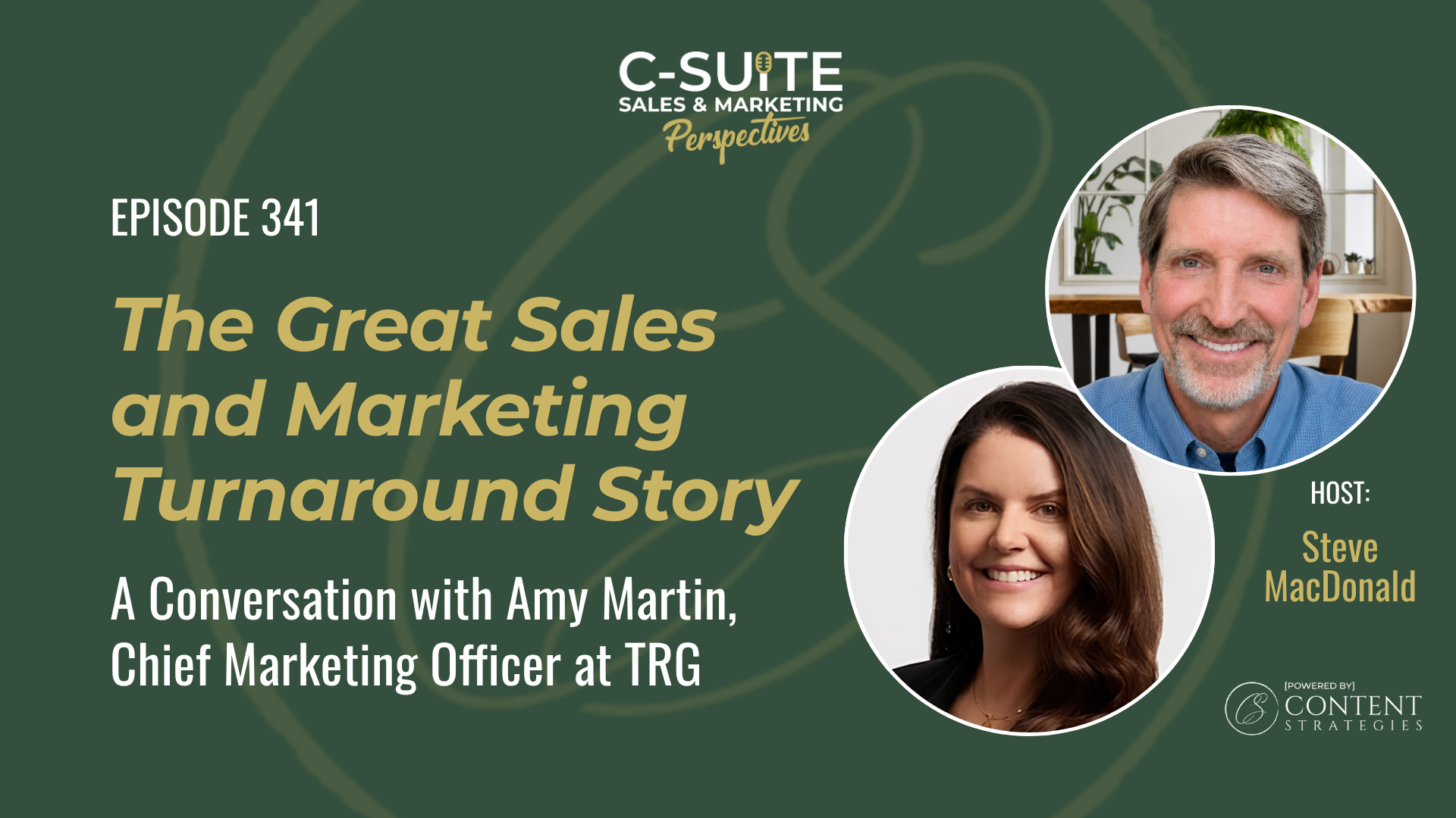 Read more about the article The Great Sales and Marketing Turnaround Story