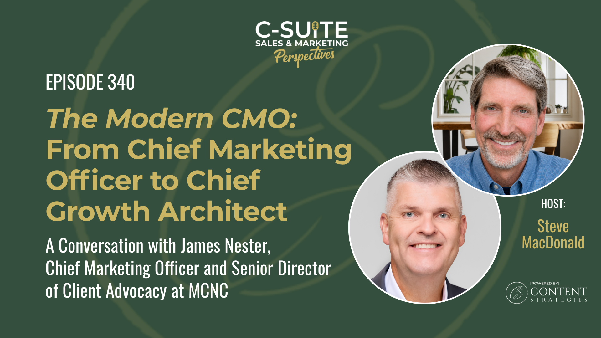 Read more about the article The Modern CMO: From Chief Marketing Officer to Chief Growth Architect